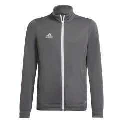 Adidas YOUTH Entrada 22 Track Jacket - Grey