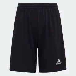 Adidas Entrada 22 Youth Shorts - Black