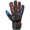 Reusch Attrakt SG Extra Goalkeeper Gloves