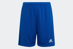 Adidas Entrada 22 Youth Soccer Shorts Royal Blue